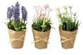 50% off Artificial  Flowers In Pots (set of 3)